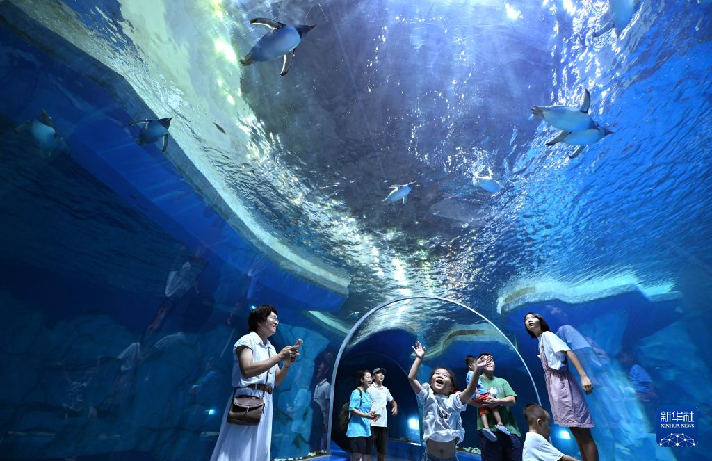 海南陵水:惬意错峰游