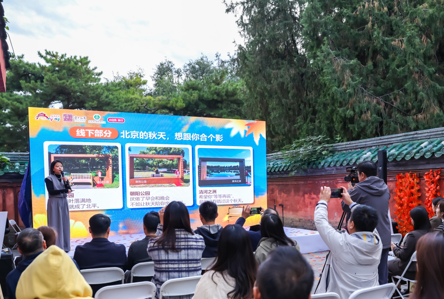 北京的秋来了！200张秋日长椅和秋日散步美学路线等你打卡