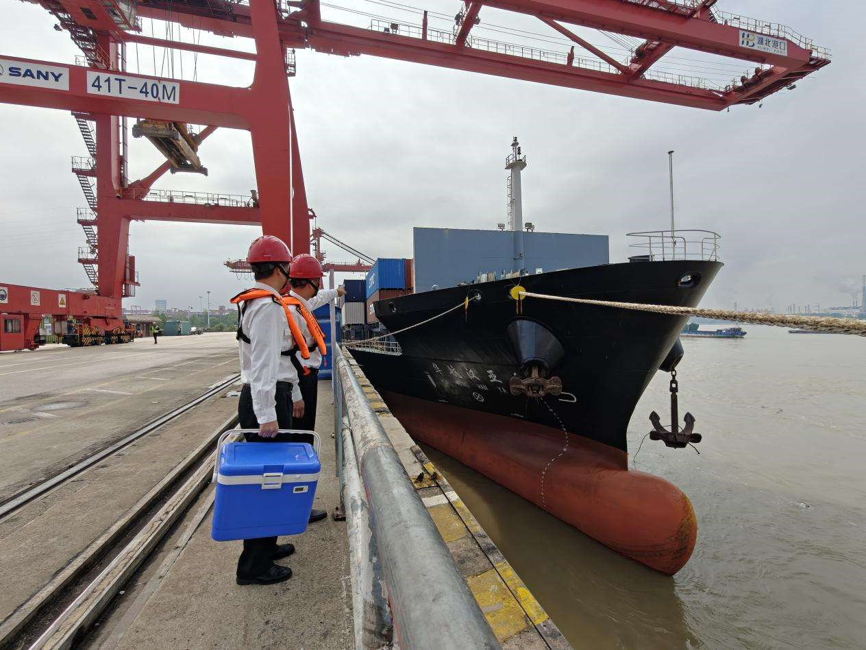 飙升258%！ 武汉阳逻港直航货运量爆了