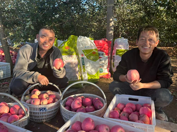 【高质量发展看陕西】乡村振兴，这边“丰”景独好