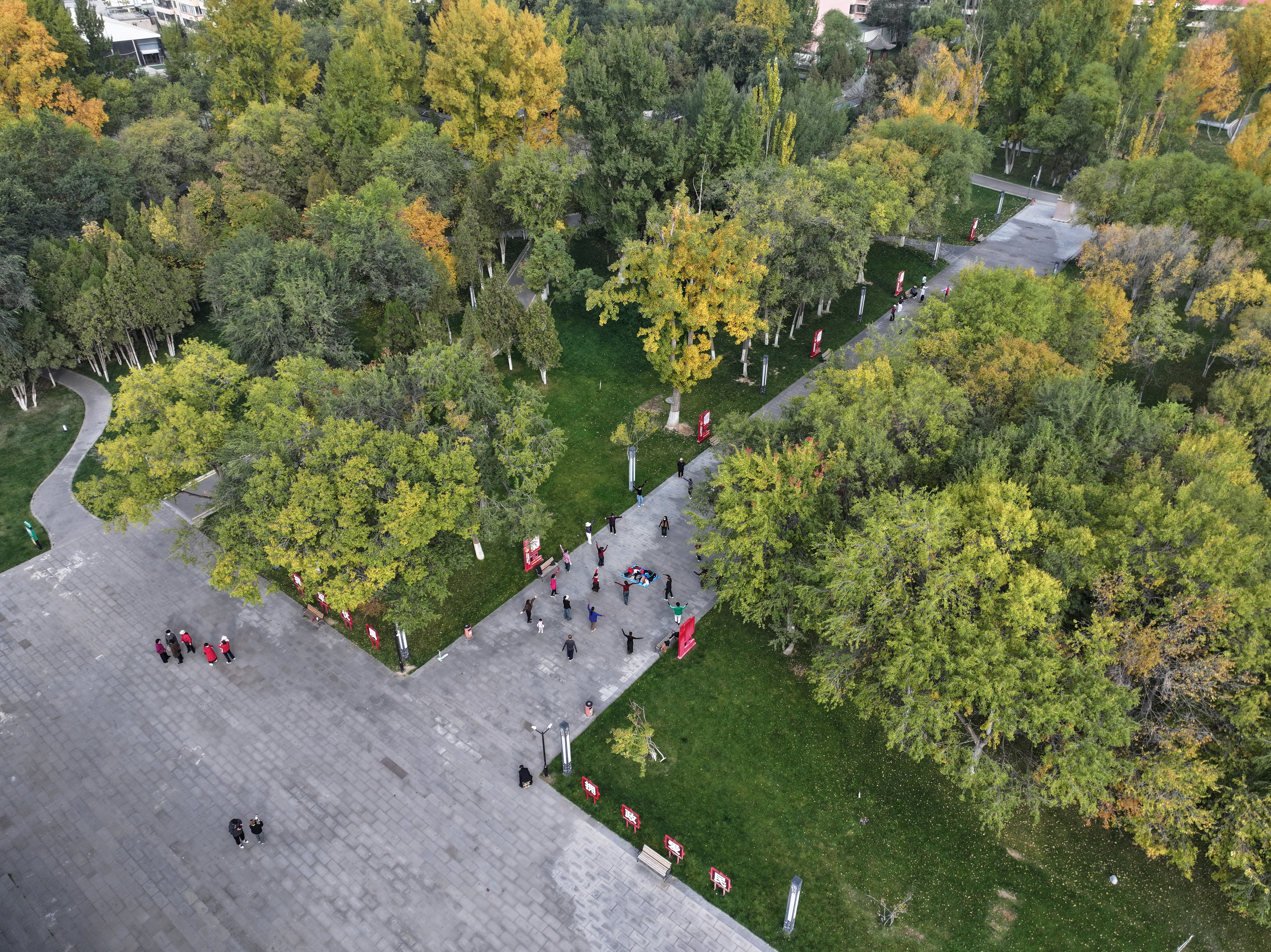 青海乐都：口袋公园“缀”城乡 金色民生幸福节节高