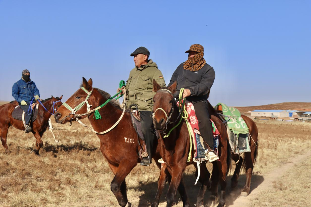 鄂托克旗:以马为媒,让草原特色产业“跑”向新未来 鄂托克旗:以马为媒,让草原特色产业“跑”向新未来