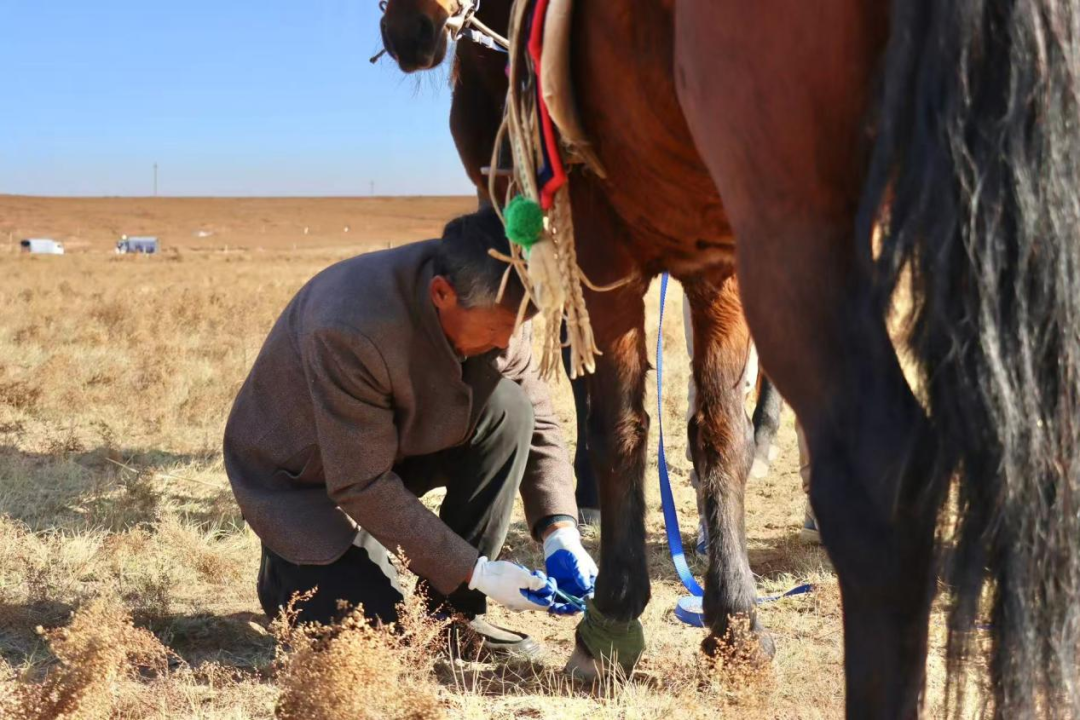 鄂托克旗:以马为媒,让草原特色产业“跑”向新未来 鄂托克旗:以马为媒,让草原特色产业“跑”向新未来