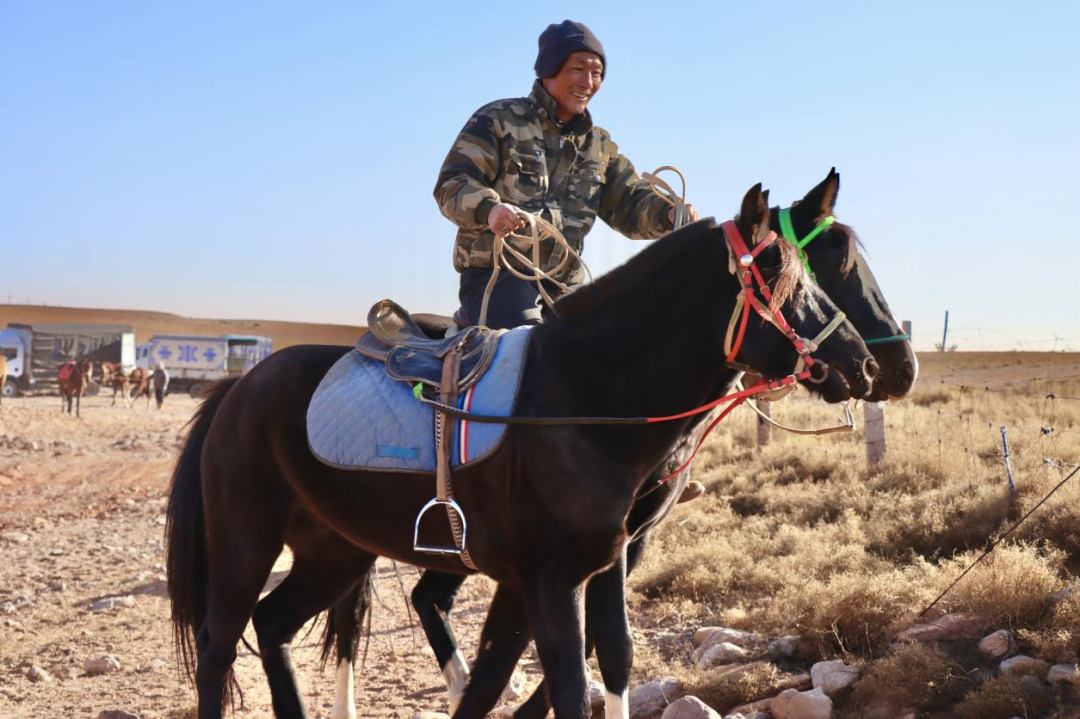鄂托克旗:以马为媒,让草原特色产业“跑”向新未来 鄂托克旗:以马为媒,让草原特色产业“跑”向新未来