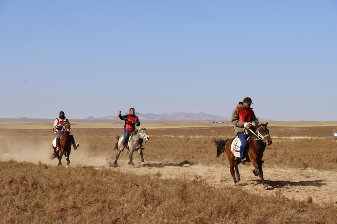 鄂托克旗:以马为媒,让草原特色产业“跑”向新未来 鄂托克旗:以马为媒,让草原特色产业“跑”向新未来