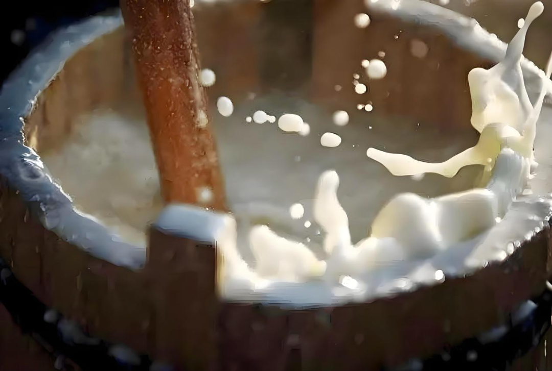 鄂托克旗:以马为媒,让草原特色产业“跑”向新未来 鄂托克旗:以马为媒,让草原特色产业“跑”向新未来