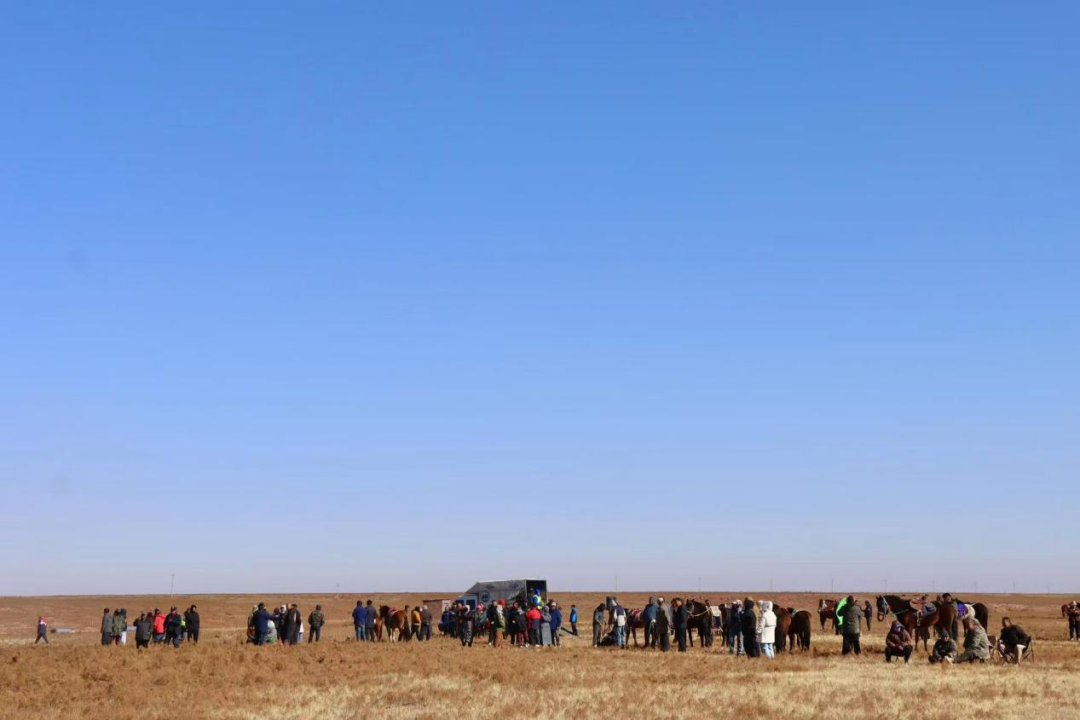 鄂托克旗:以马为媒,让草原特色产业“跑”向新未来 鄂托克旗:以马为媒,让草原特色产业“跑”向新未来