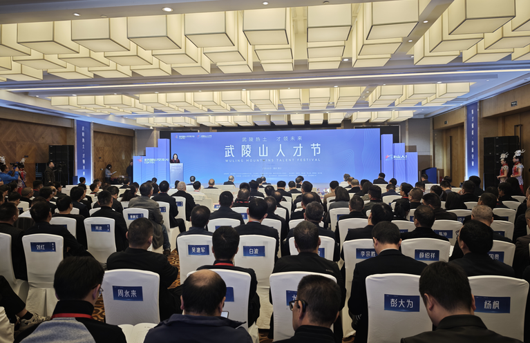 计划引进各类人才600名以上 首届武陵山人才节在重庆黔江举行
