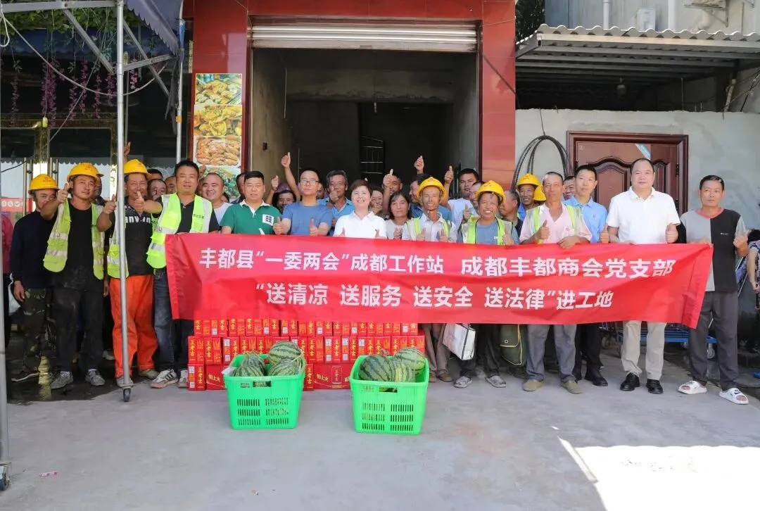 为什么县城留不住人？重庆丰都连抛“八问”破题