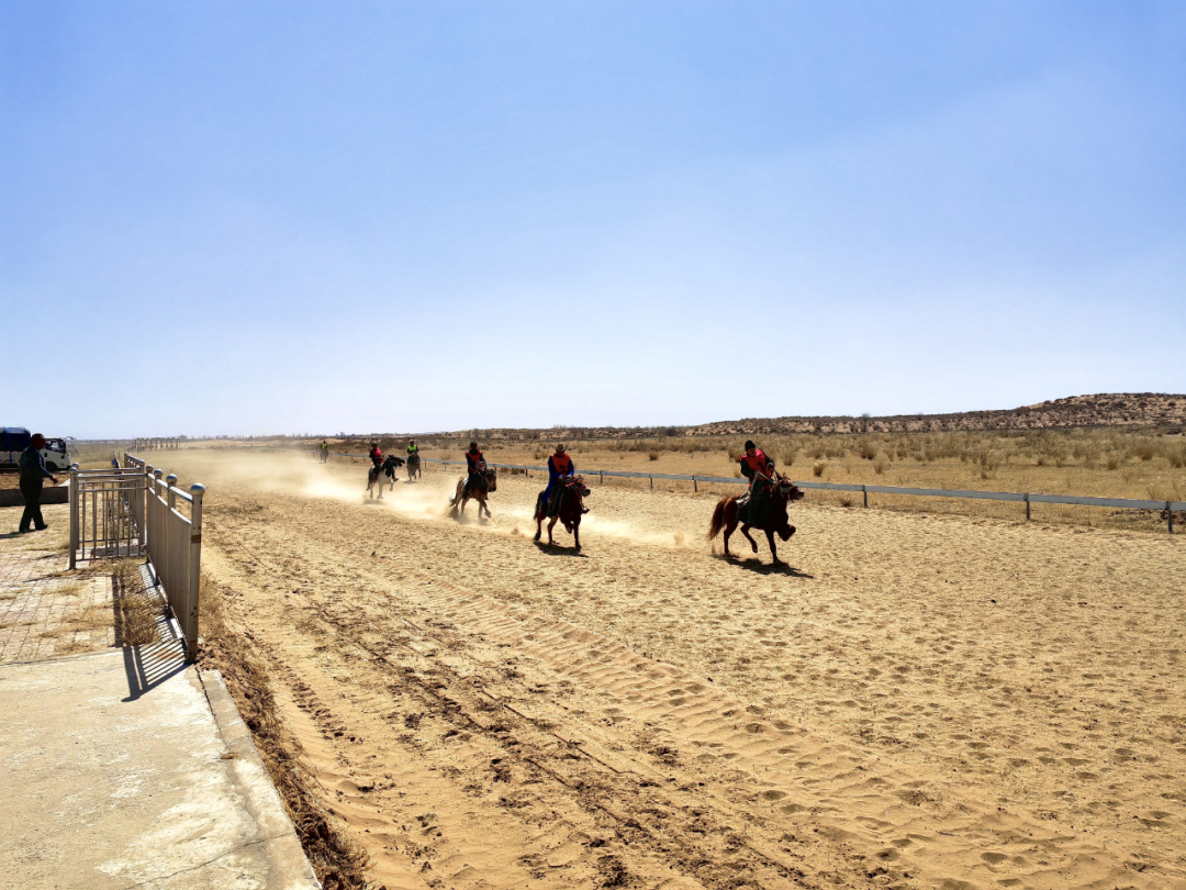 马什亥嘎查:从“马背传承”到“产业勃兴”