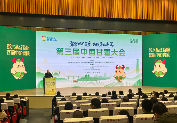 第三届中国甘薯大会在重庆彭水举行 共商产业高质量发展路径