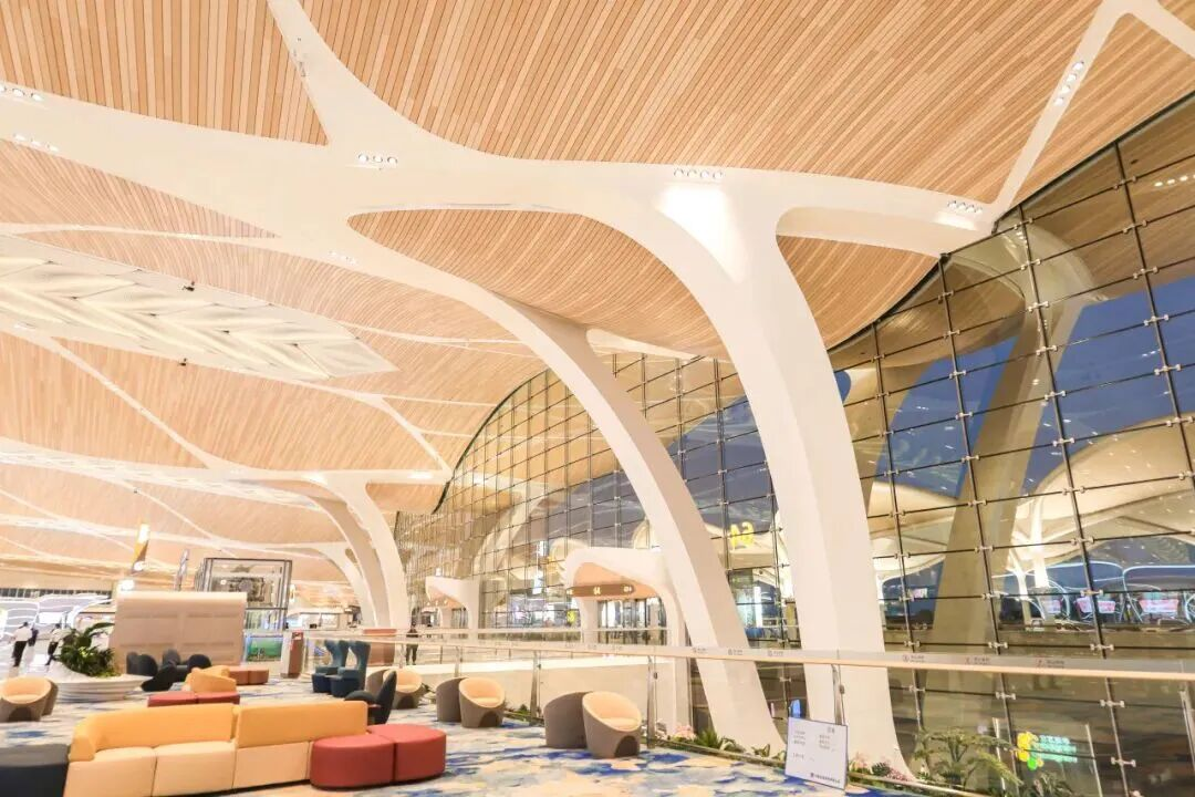 【坪山企讯】“美出天际”的新晋“网红”,坪山的TA参建!