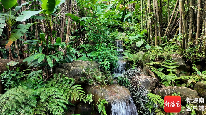 雨林吸氧+浪尖逐潮+航天探秘!海南“两环”旅游公路藏着多少惊喜? 雨林吸氧+浪尖逐潮+航天探秘!海南“两环”旅游公路藏着多少惊喜?