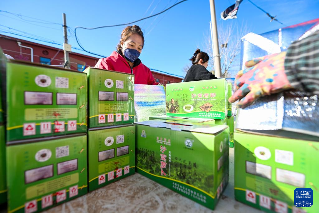 天津：沙窝萝卜迎来丰收季