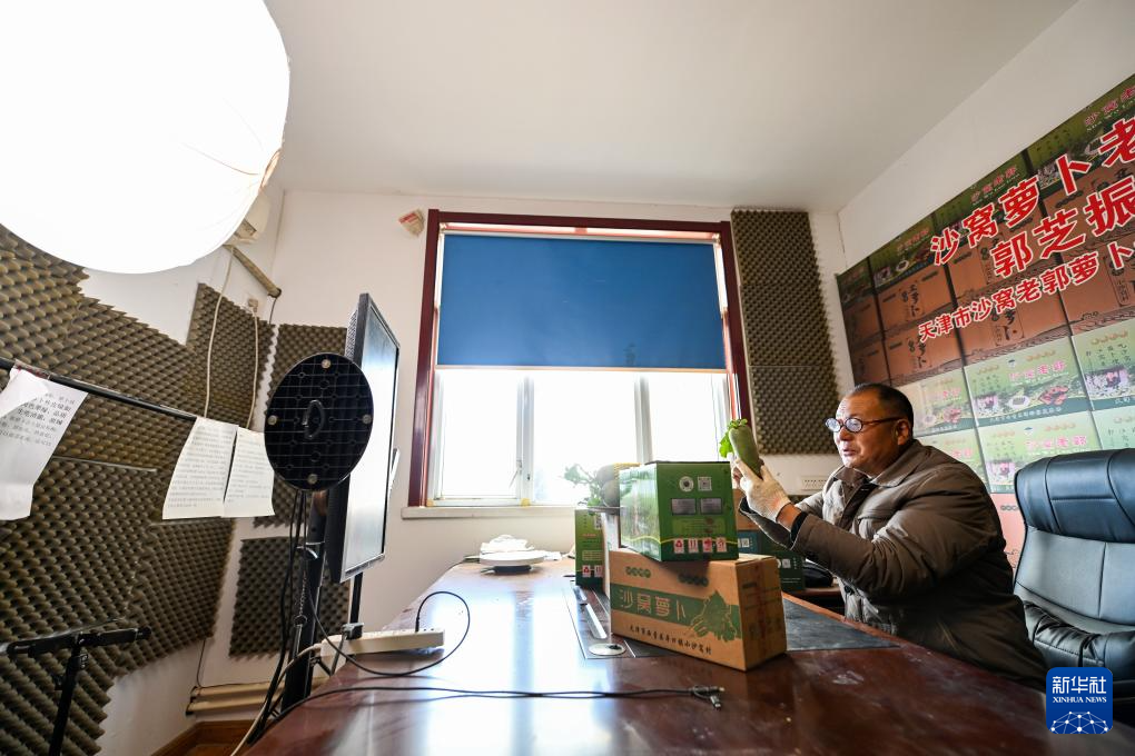 天津：沙窝萝卜迎来丰收季