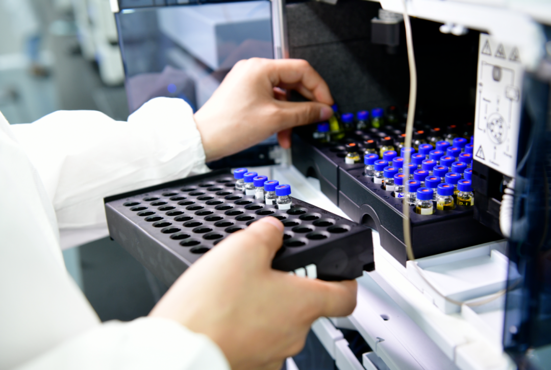 真金白银+免申即享!成都金牛“1+9”政策出炉