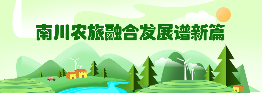 千年银杏下,真的在“长钱”!德隆镇的“金色财富”火出圈了