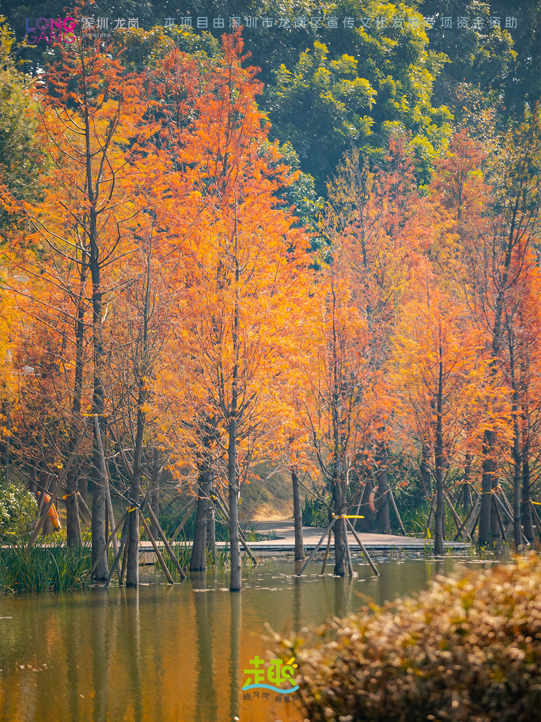 太出片啦！上深圳龙岗最浪漫的「美拉德季」即将到来！