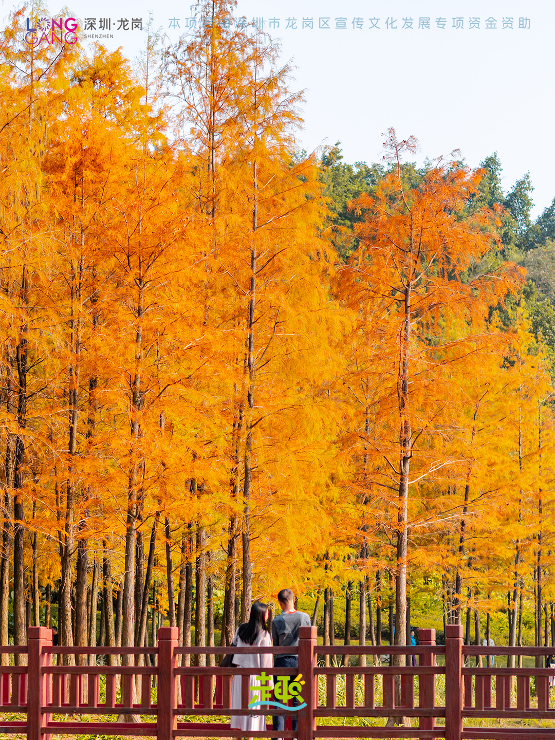 太出片啦！上深圳龙岗最浪漫的「美拉德季」即将到来！