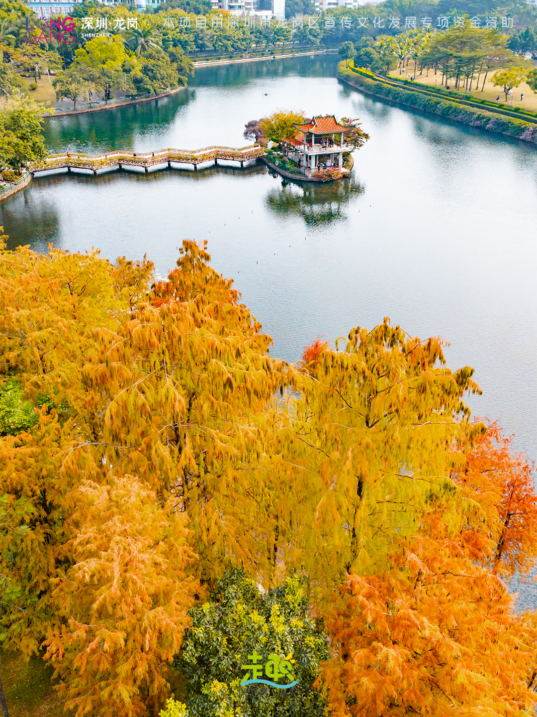 太出片啦！上深圳龙岗最浪漫的「美拉德季」即将到来！