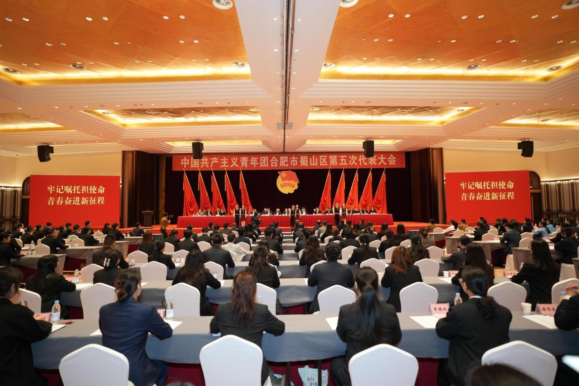 共青团合肥市蜀山区第五次代表大会召开