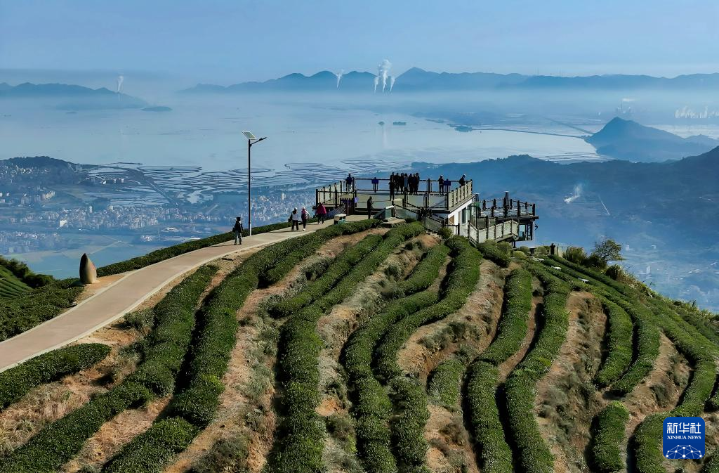 福建：冬韵斑斓