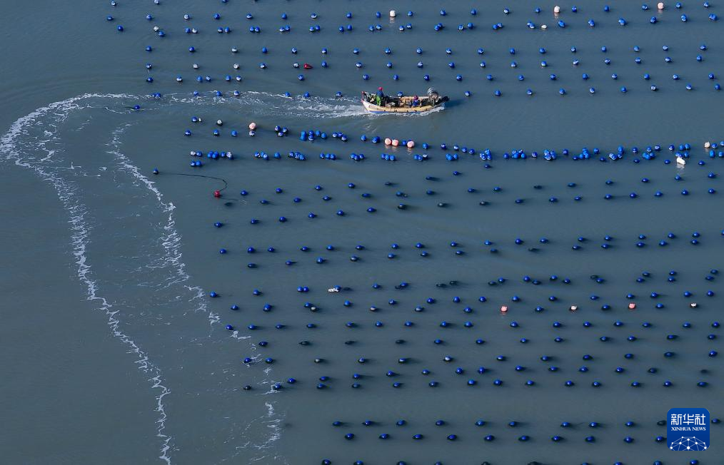 福建：冬韵斑斓