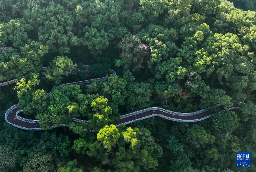 福建：冬韵斑斓