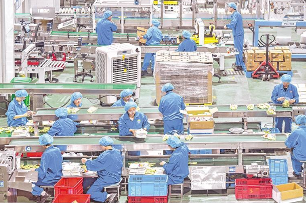 产业链从“物理连接”迈向“化学反应” 创新联合体的“银川实验” 产业链从“物理连接”迈向“化学反应” 创新联合体的“银川实验”