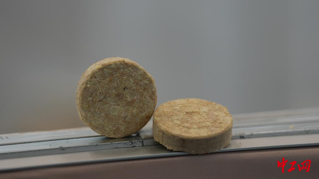 从会“生长”的徽章到可“循环”木屑 这届大赛绿意满满 图片2