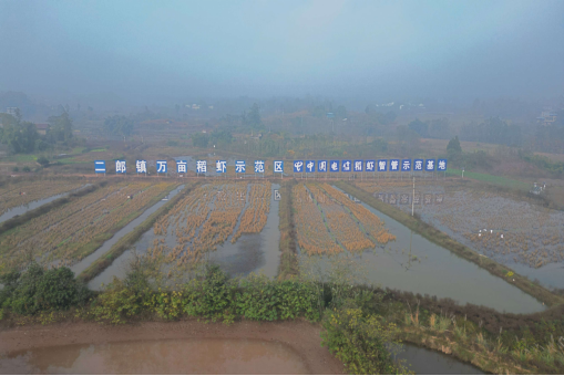 覆盖多产业超万亩农田 “数智+农业”点亮重庆合川乡村振兴路