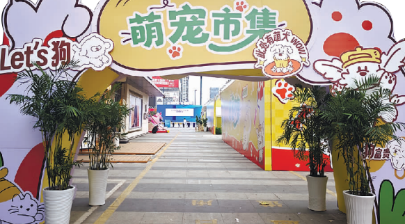 2025连云港“惠聚山海”消费季启幕