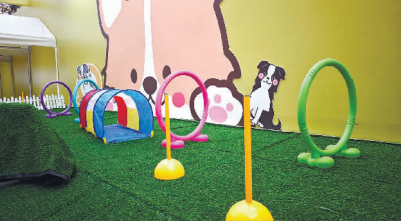 2025连云港“惠聚山海”消费季启幕