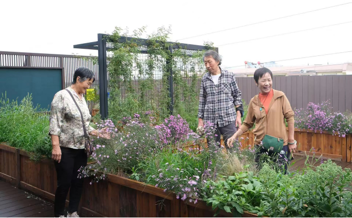 北京市责任规划师制度创新实践赋能基层治理评选为2024年度首都精神文明建设工作优秀案例