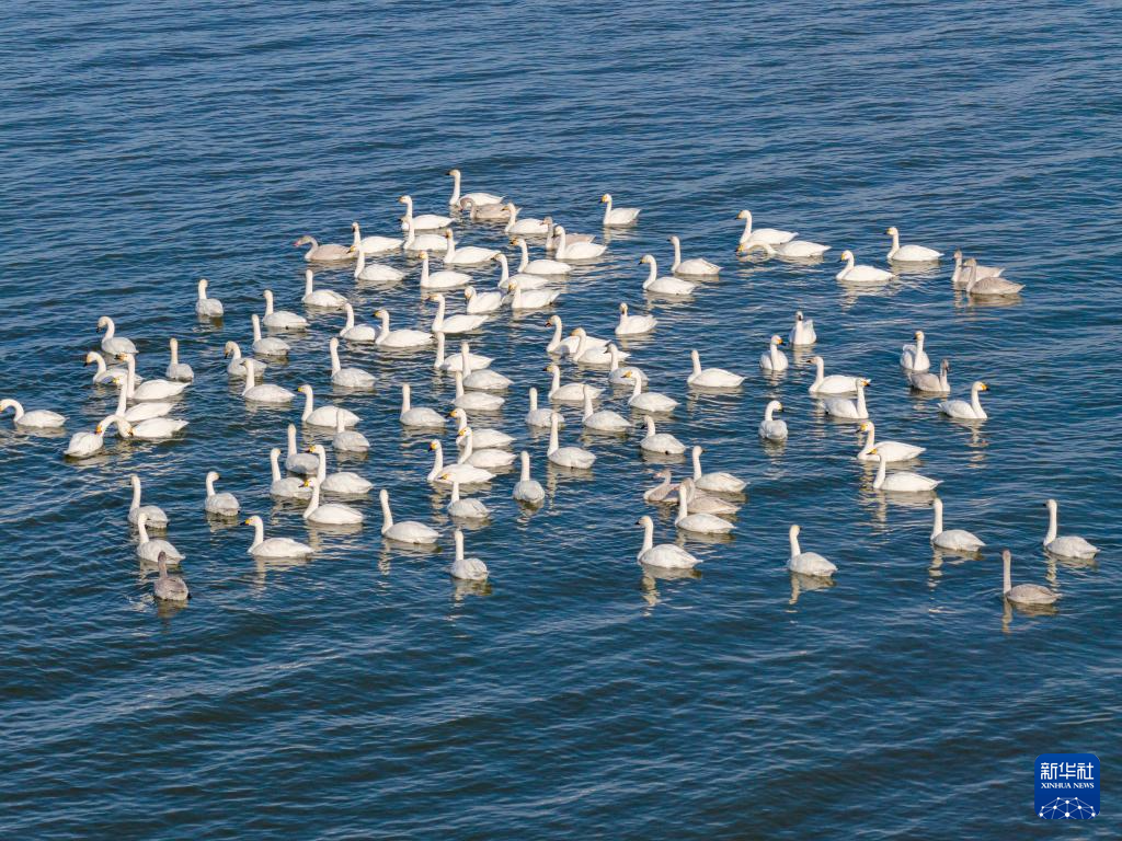 山西长治:一城风光半城绿
