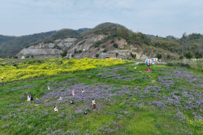 重庆大渡口发布“十四五”生态答卷：单位GDP能耗下降17.8%