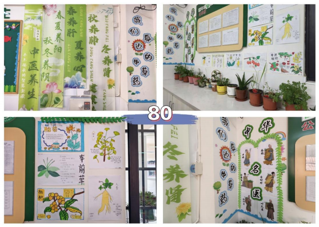 方寸地孕育大文章：白杨坡小学“中医药进校园”劳动教育的德育实践