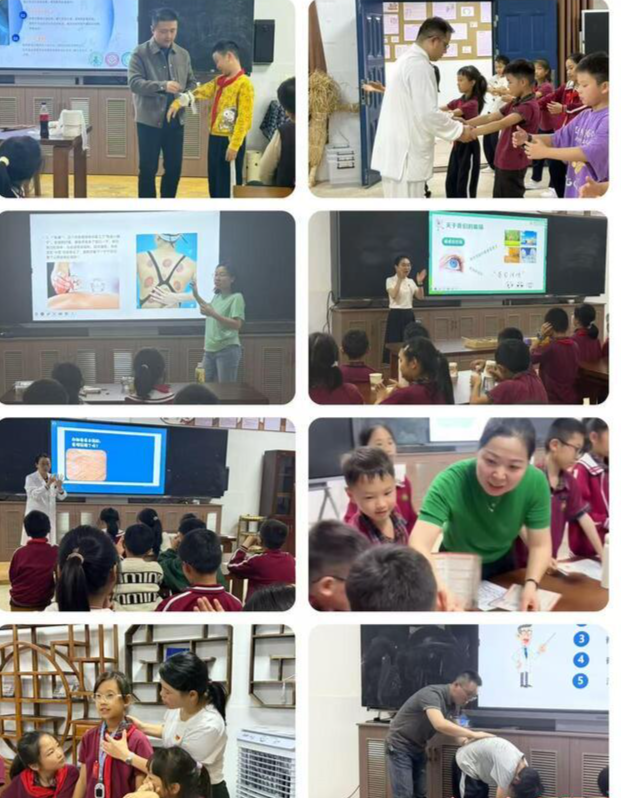 方寸地孕育大文章：白杨坡小学“中医药进校园”劳动教育的德育实践
