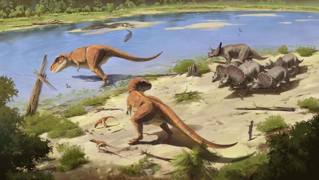 在成都高新,就能亲历世界文明印记! 图片