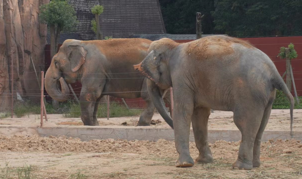 来揭阳就对了!玩什么吃什么看这里→ image.png