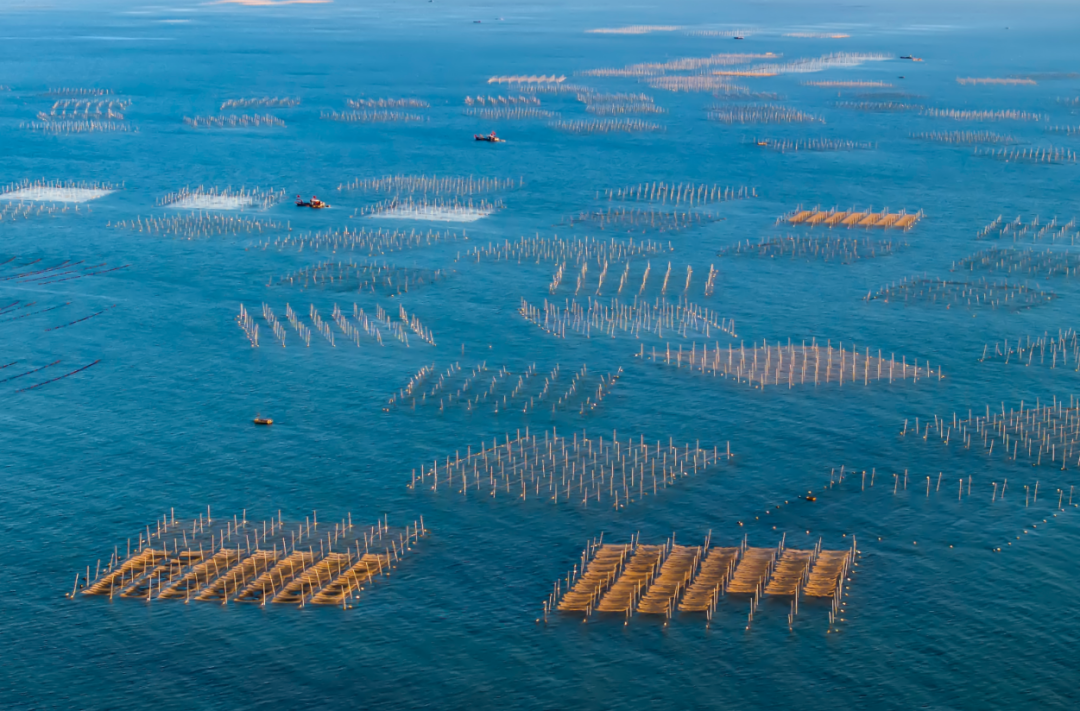 江苏连云港:陆海统筹 科学用海 让“碧海银滩”蝶变成“金山银山” 江苏连云港:陆海统筹 科学用海 让“碧海银滩”蝶变成“金山银山”