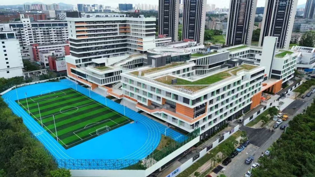 硬核成绩单拿捏了!| 坪山er的2025⑧ 图片11.png