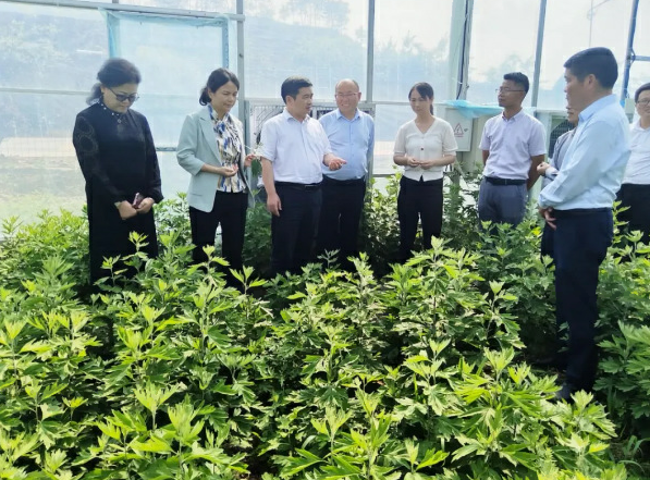 2026开门红！湖北中医药大学、湖北时珍实验室获湖北省科学技术进步一、二、三等奖