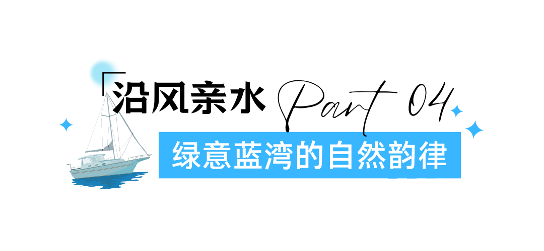 世界顶级帆船赛来了!邀你登船观赛 绿色简约风教育培训标题设计 (3).png