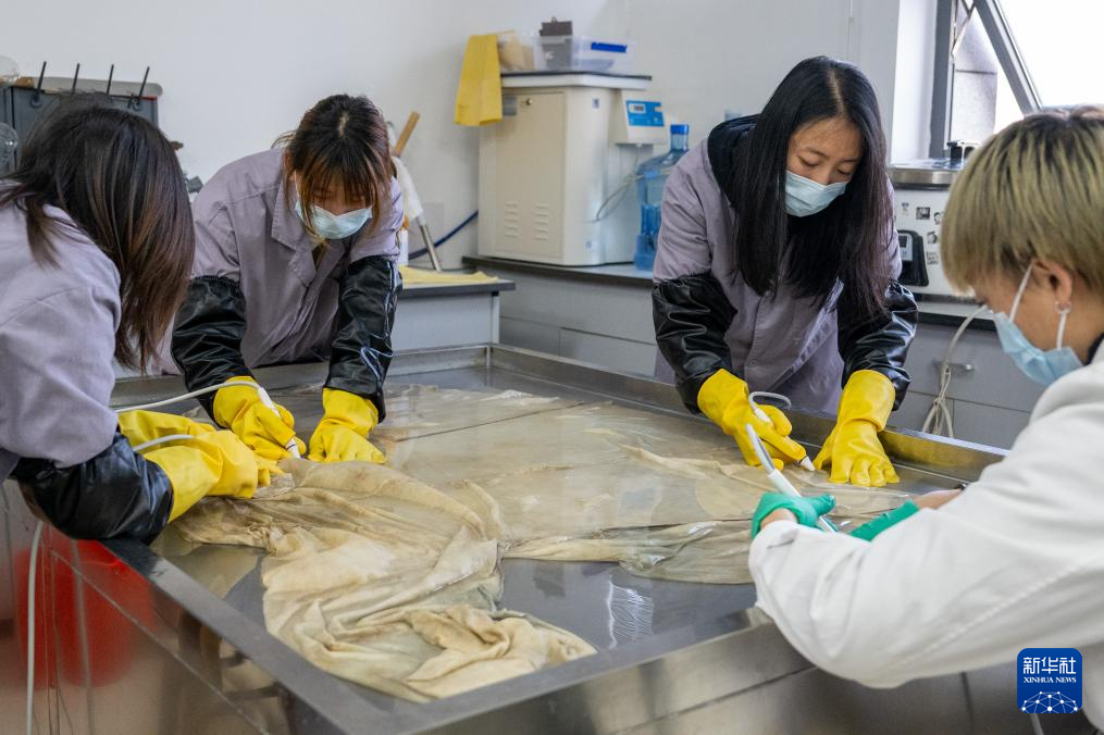 文化中国行丨湖北荆州:技术创新为有机质文物全生命周期“护航”