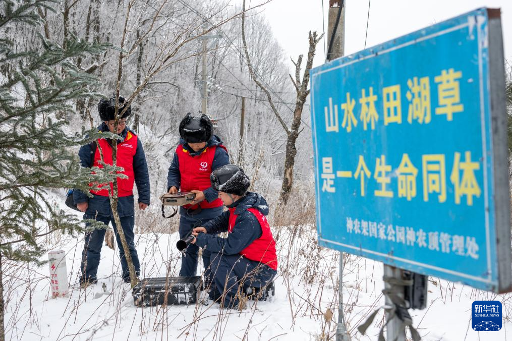 湖北:迎战寒潮保供电