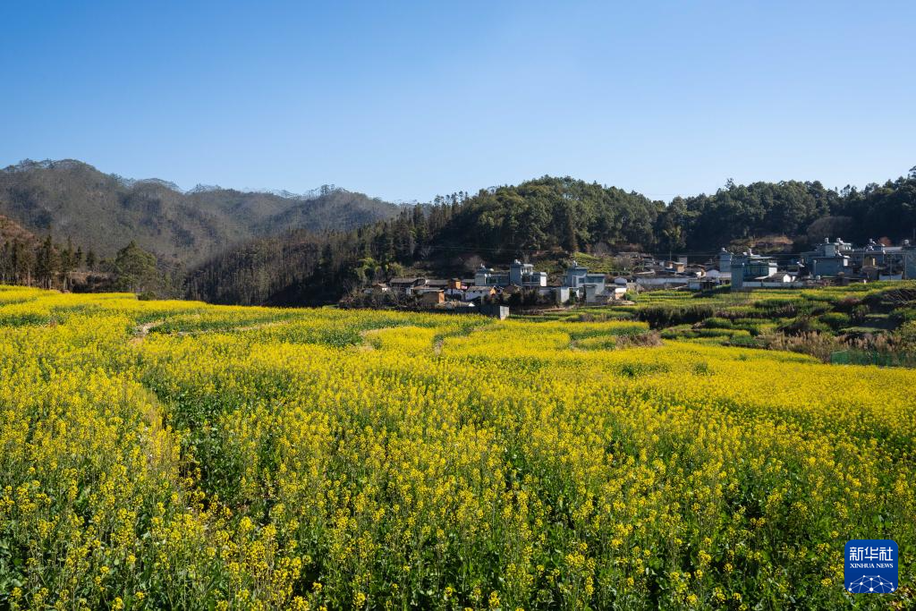 云南临沧碗窑村:探索“陶旅”融合发展之路