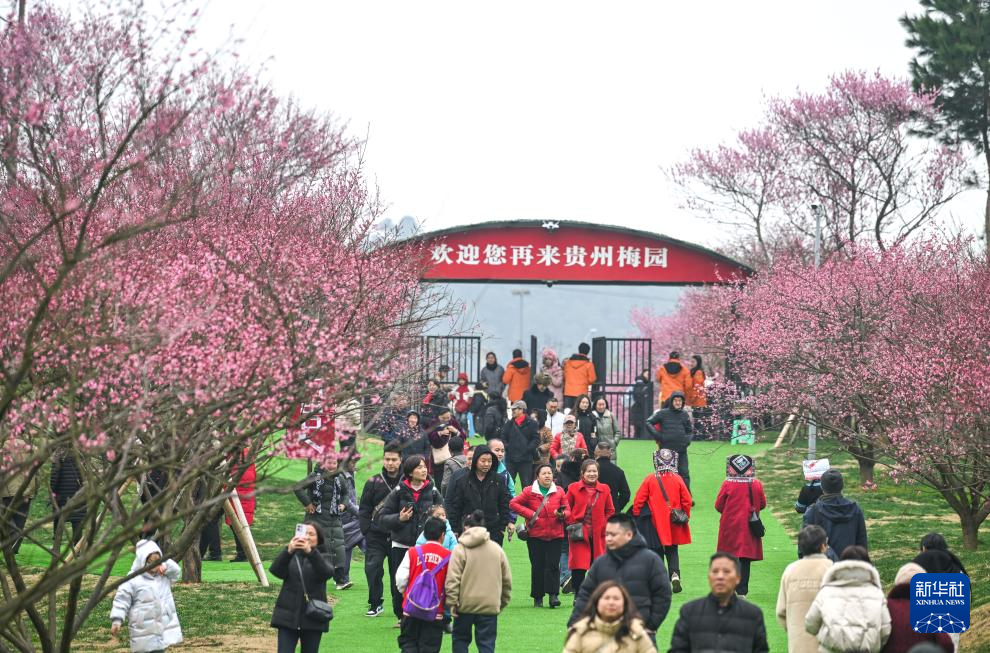 贵州梅园开园迎客