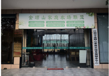 江苏江阴顾山镇：一颗桃，激活产业强镇 “一池春水”