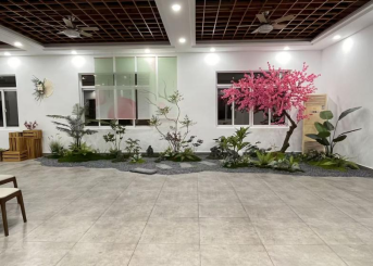 江苏江阴顾山镇：一颗桃，激活产业强镇 “一池春水”